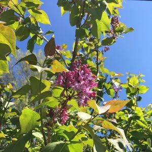 Meet your Posher, Vicki